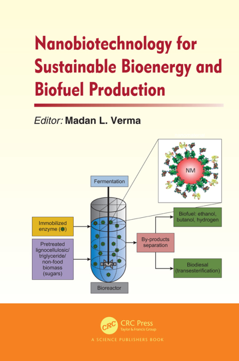 Cover image for book Nanobiotechnology for Sustainable Bioenergy and Biofuel Production