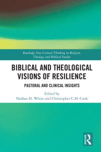 Cover image: Biblical and Theological Visions of Resilience 1st edition 9780367029111