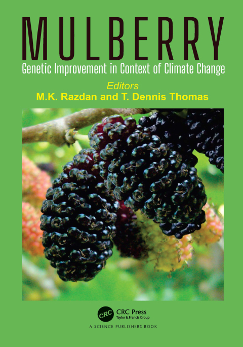 Cover image for book Mulberry