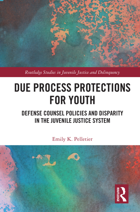 Cover image for book Due Process Protections for Youth