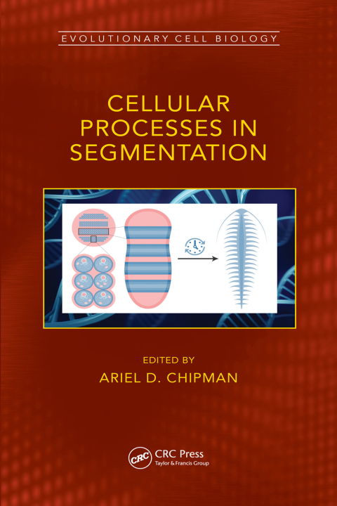 Cover image for book Cellular Processes in Segmentation