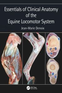 Titelbild: Essentials of Clinical Anatomy of the Equine Locomotor System 1st edition 9781498754415