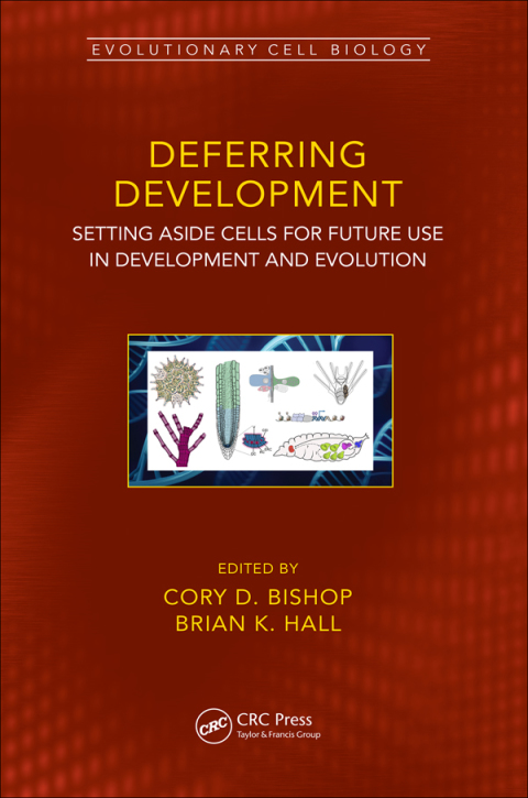 Cover image for book Deferring Development