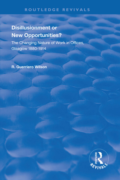 Cover image for book Disillusionment or New Opportunities?