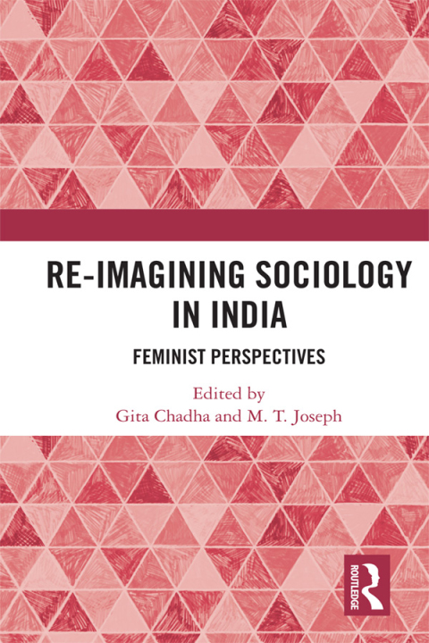 Cover image for book Re-Imagining Sociology in India