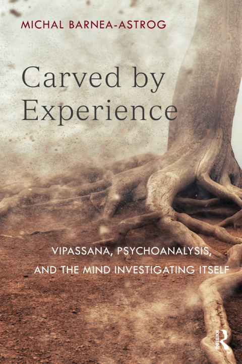 Cover image for book Carved by Experience