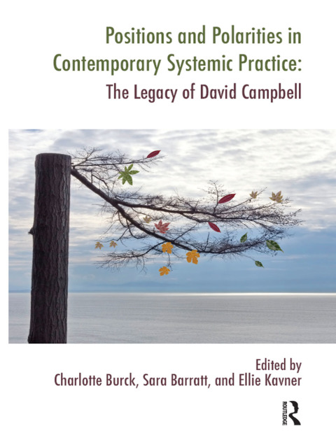 Cover image for book Positions and Polarities in Contemporary Systemic Practice
