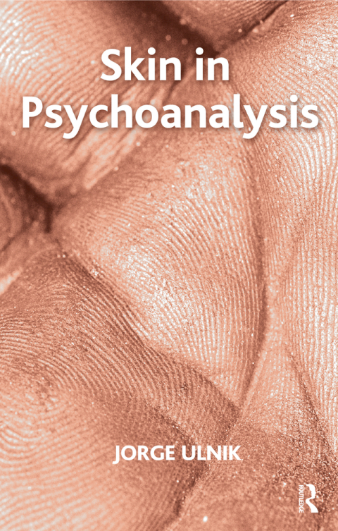 Cover image for book Skin in Psychoanalysis