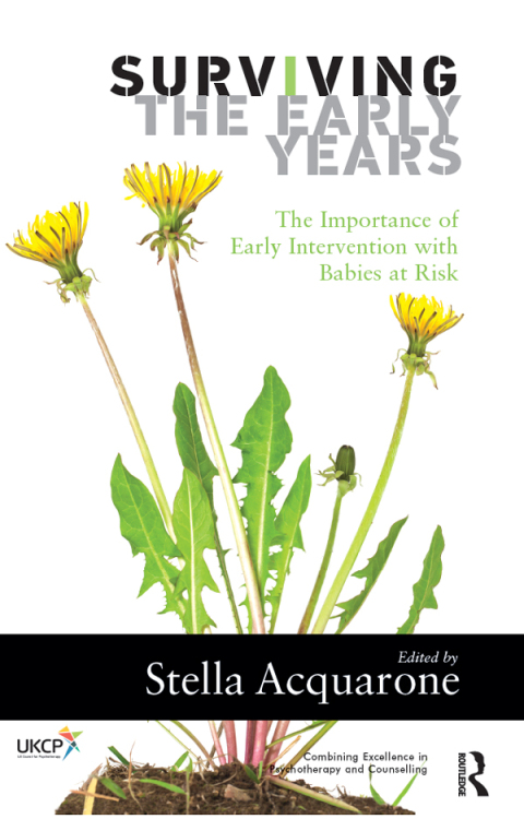 Cover image for book Surviving the Early Years