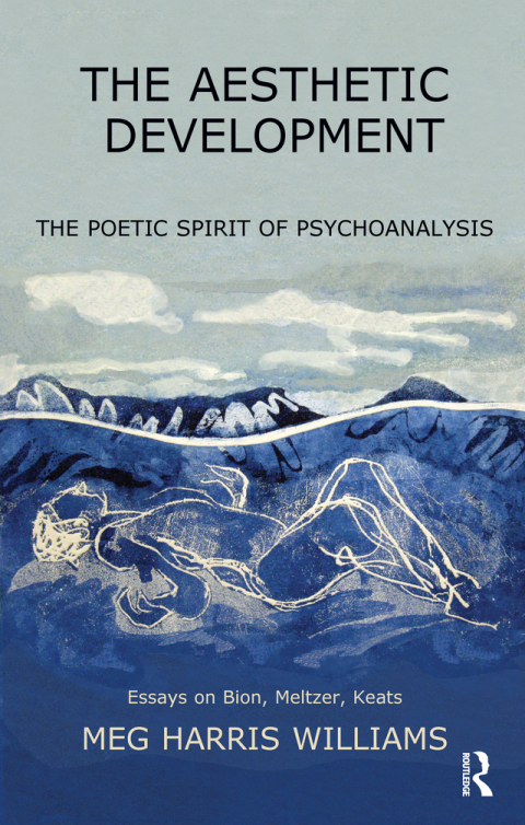 Cover image for book The Aesthetic Development
