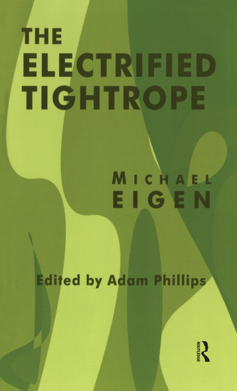 Cover image for book The Electrified Tightrope