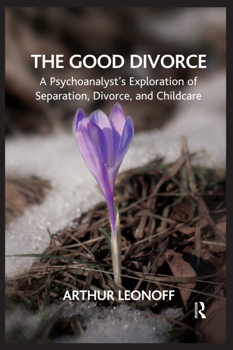 Cover image for book The Good Divorce