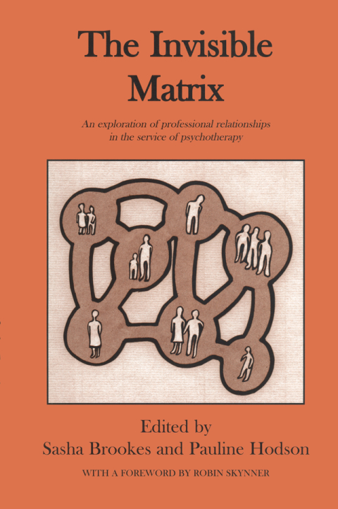 Cover image for book The Invisible Matrix