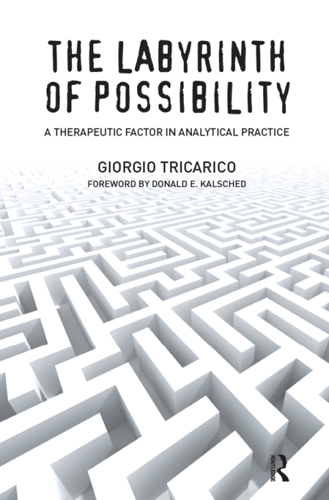 Cover image for book The Labyrinth of Possibility