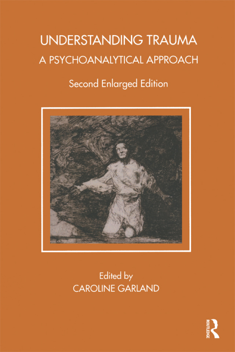 Cover image for book Understanding Trauma