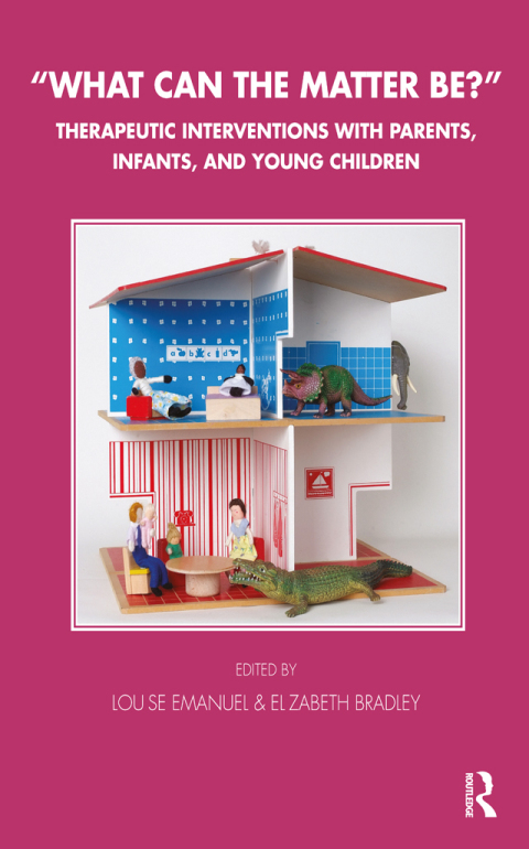 Cover image for book What Can the Matter Be?