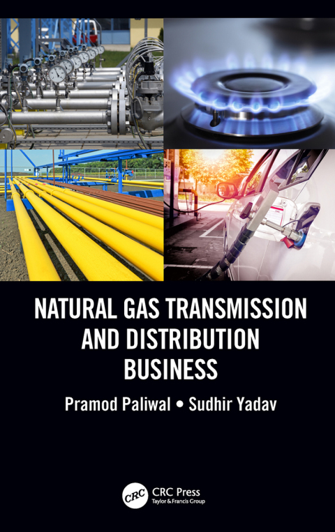 Cover image for book Natural Gas Transmission and Distribution Business