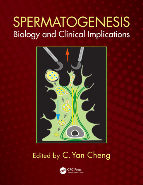 Cover image for book Spermatogenesis