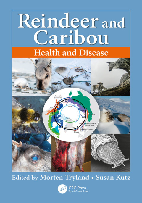 Cover image for book Reindeer and Caribou