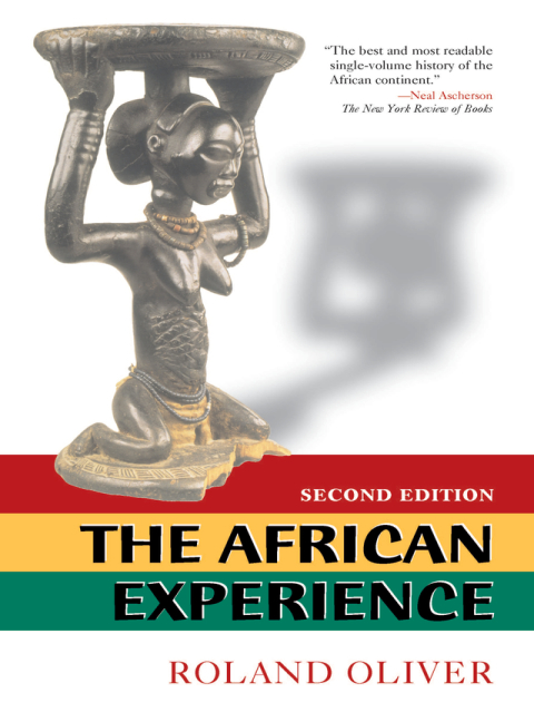 Cover image for book The African Experience