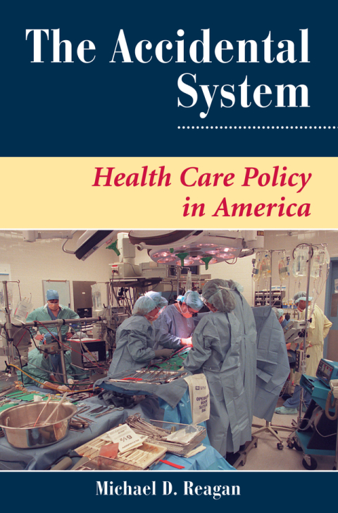Cover image for book The Accidental System