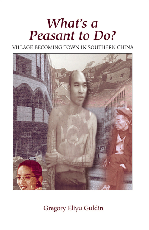 Cover image for book What's A Peasant To Do? Village Becoming Town In Southern China
