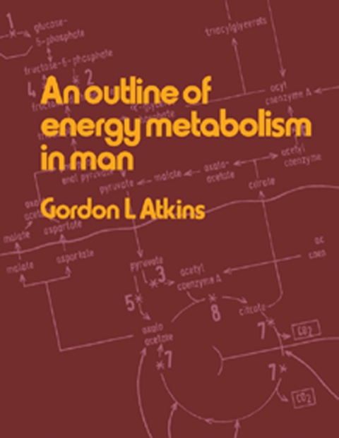 Cover image for book An Outline of Energy Metabolism in Man