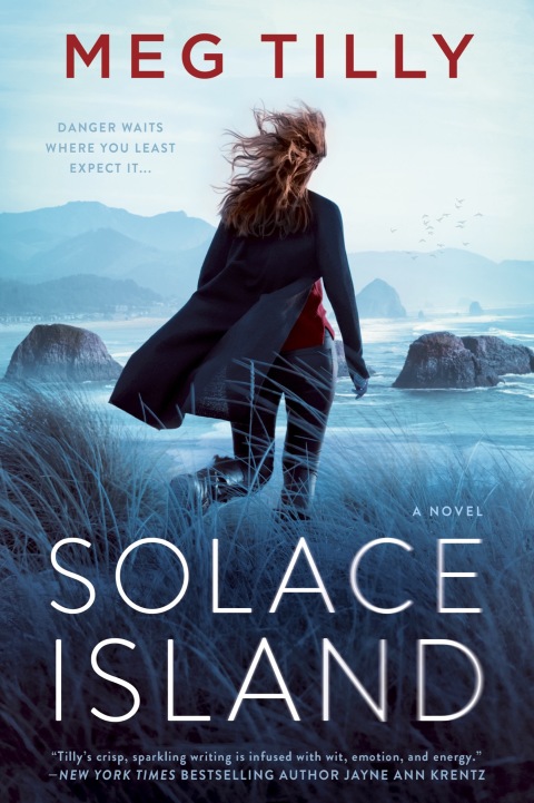 Cover image for book Solace Island