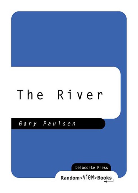 Cover image for book The River
