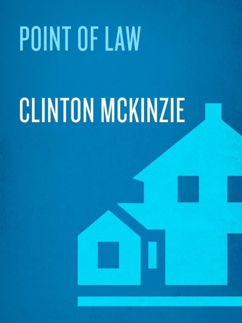 Cover image for book Point of Law