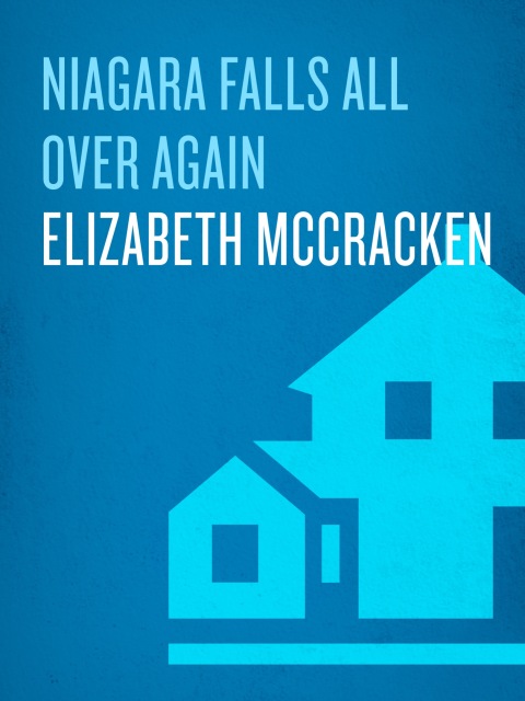 Cover image for book Niagara Falls All Over Again