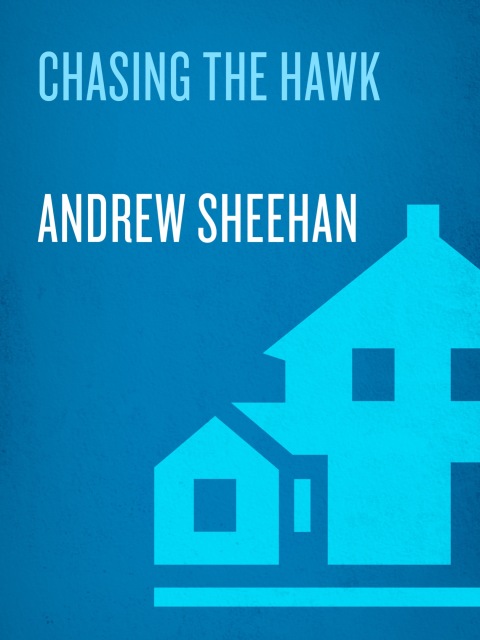 Cover image for book Chasing the Hawk