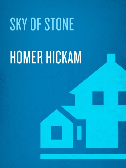 Cover image for book Sky of Stone
