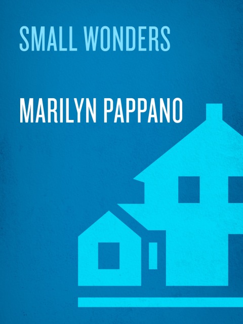 Cover image for book Small Wonders