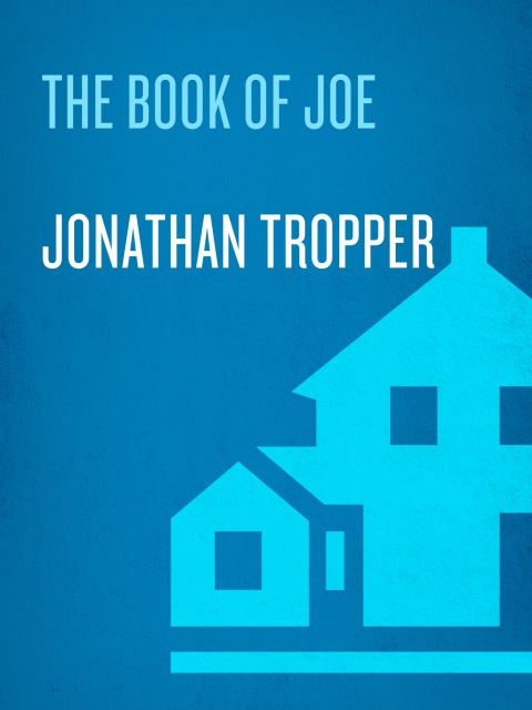 Cover image for book The Book of Joe