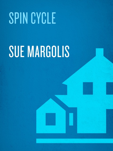 Cover image for book Spin Cycle