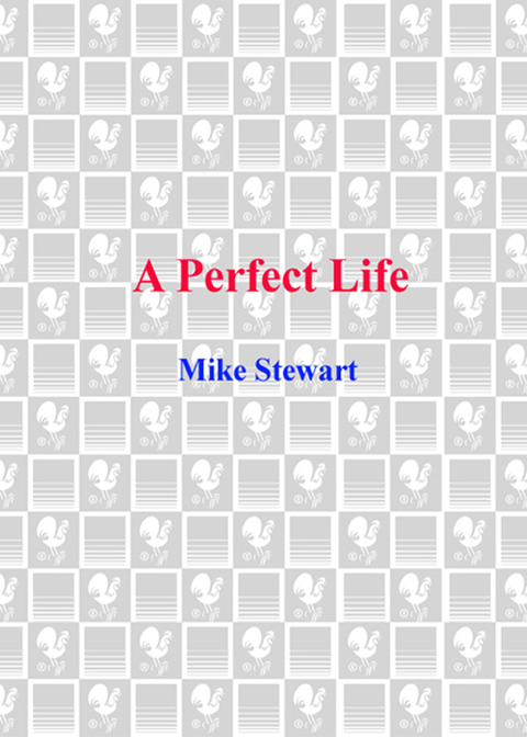 Cover image for book A Perfect Life