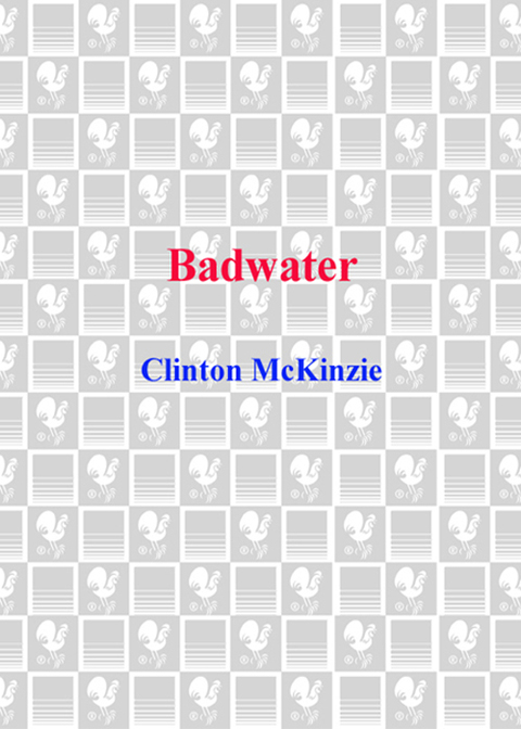 Cover image for book Badwater