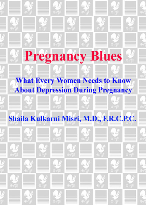 Cover image for book Pregnancy Blues
