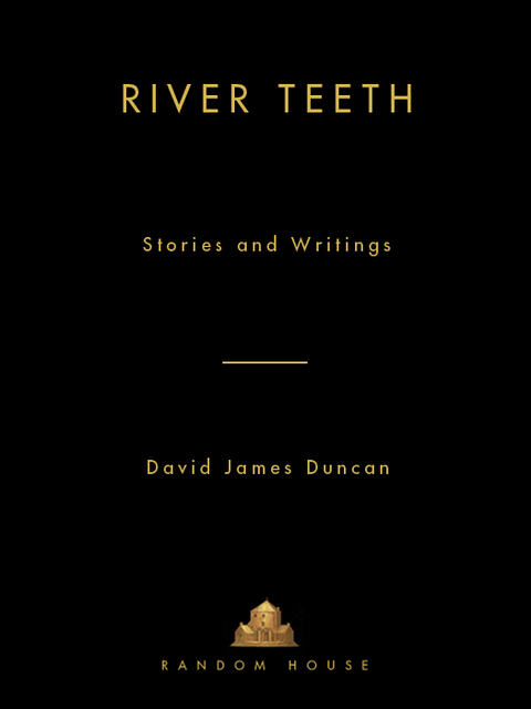 Cover image for book River Teeth