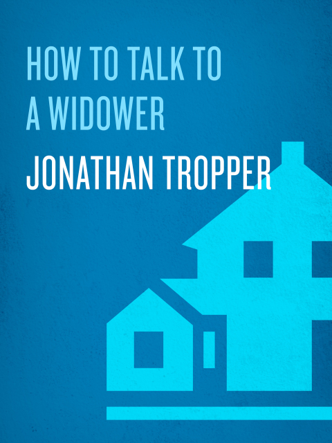 Cover image for book How to Talk to a Widower