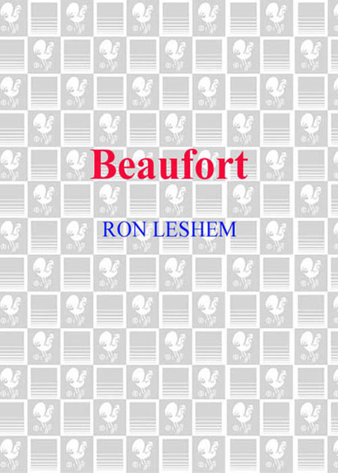 Cover image for book Beaufort