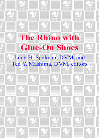 The Rhino with Glue-On Shoes