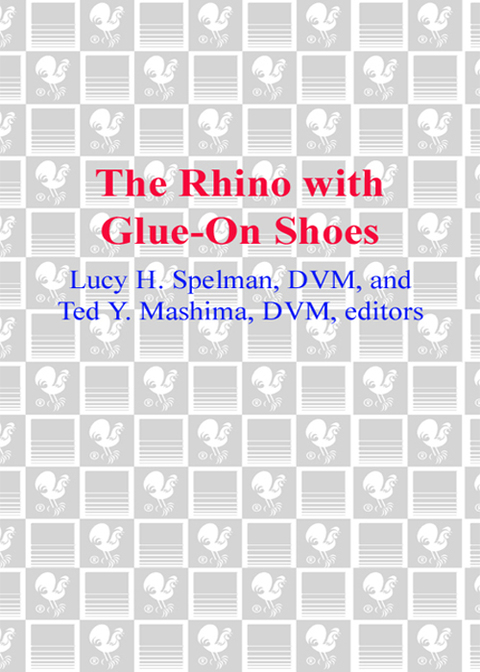 Cover image for book The Rhino with Glue-On Shoes