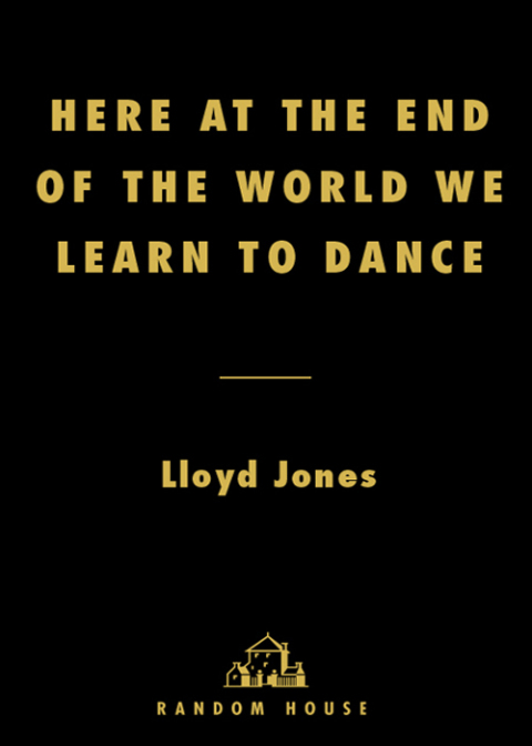 Cover image for book Here at the End of the World We Learn to Dance