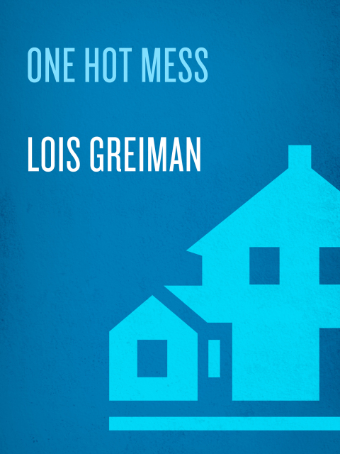 Cover image for book One Hot Mess