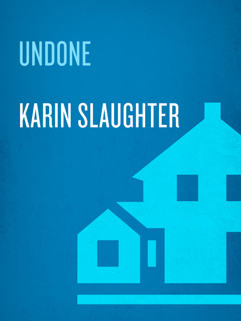 Cover image for book Undone