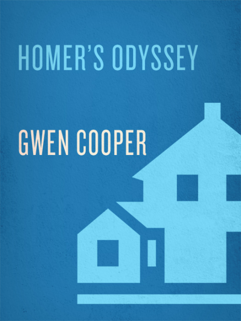 Cover image for book Homer's Odyssey