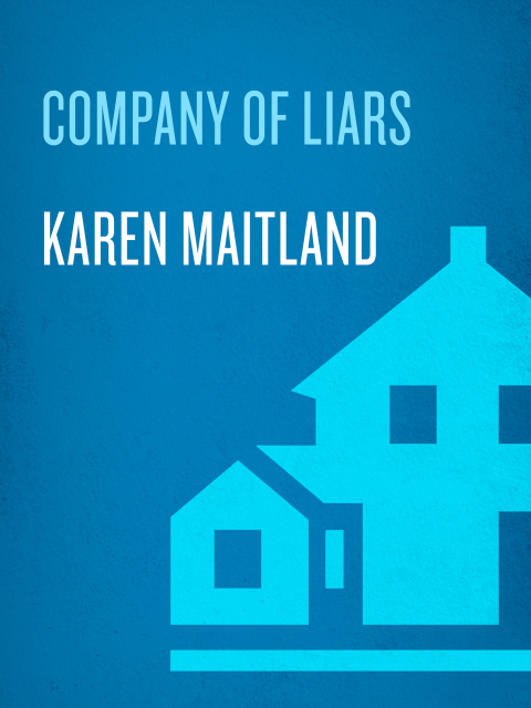 Cover image for book Company of Liars