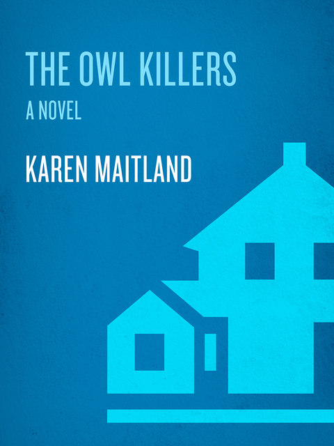 Cover image for book The Owl Killers
